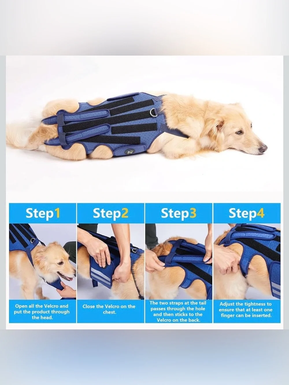 Dog Back Brace for  Arthritis, Pet Back Bracer for IVDD Back Protect 2188-1